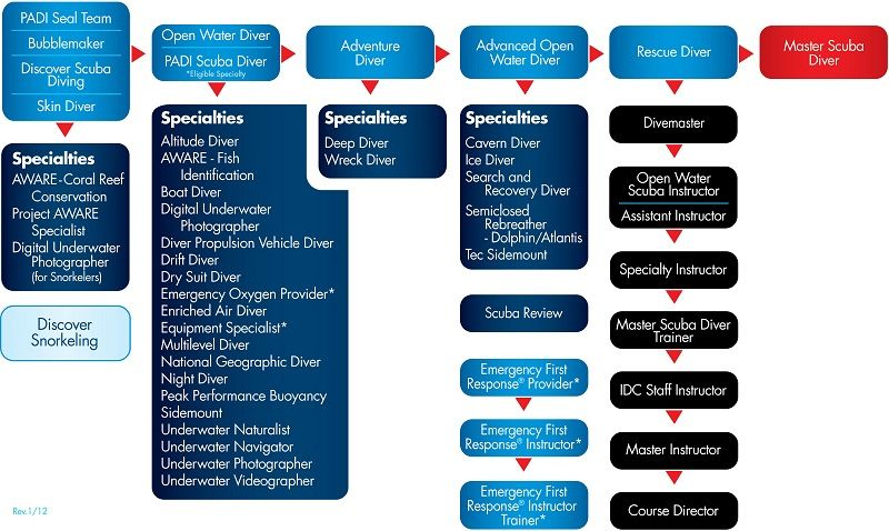 PADI Courses Flow Chart