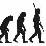 La evolución