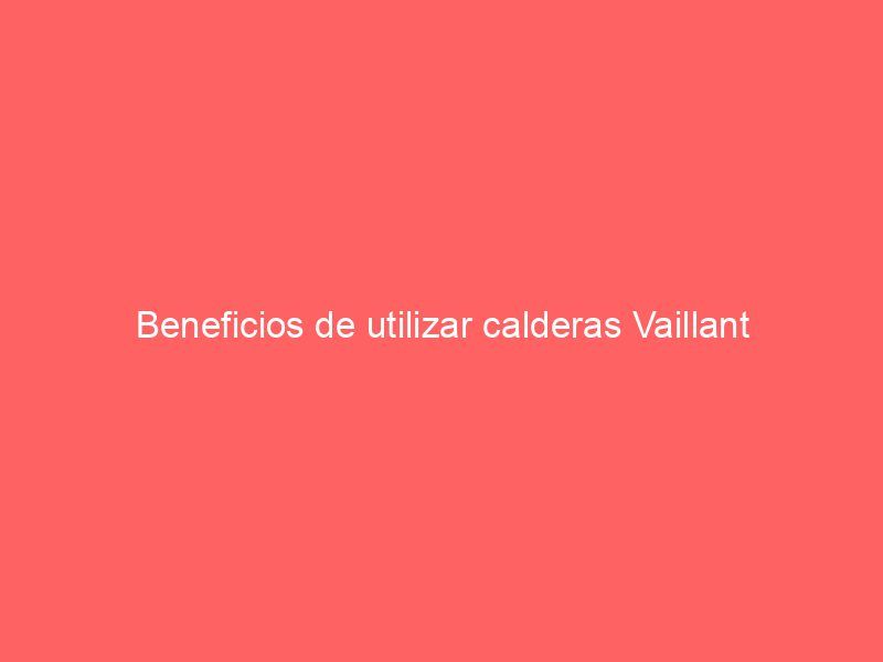 Beneficios de utilizar calderas Vaillant