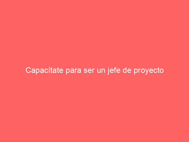 Capacítate para ser un jefe de proyecto