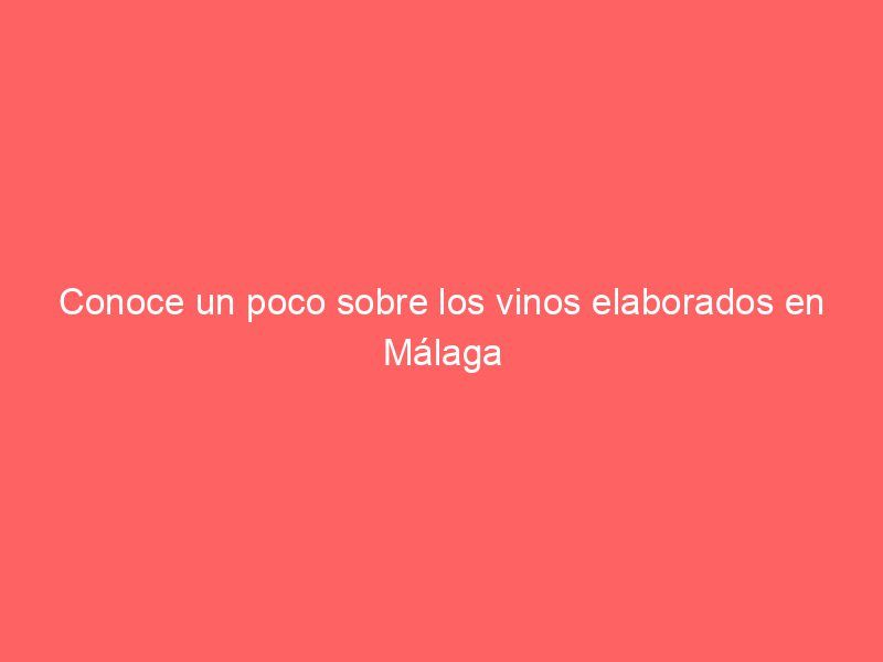 Conoce un poco sobre los vinos elaborados en Málaga