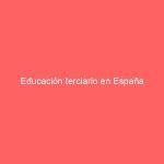 Educación terciario en España