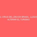 EL VIRUS DEL ZIKA EN BRASIL, LLEGO A ALTERAR EL TURISMO