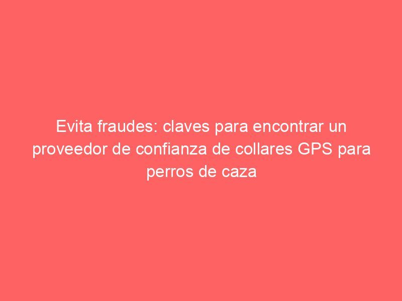 Evita fraudes: claves para encontrar un proveedor de confianza de collares GPS para perros de caza