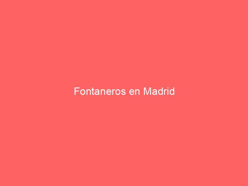 Fontaneros en Madrid