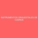 INSTRUMENTOS ORQUESTALES DE CUERDA