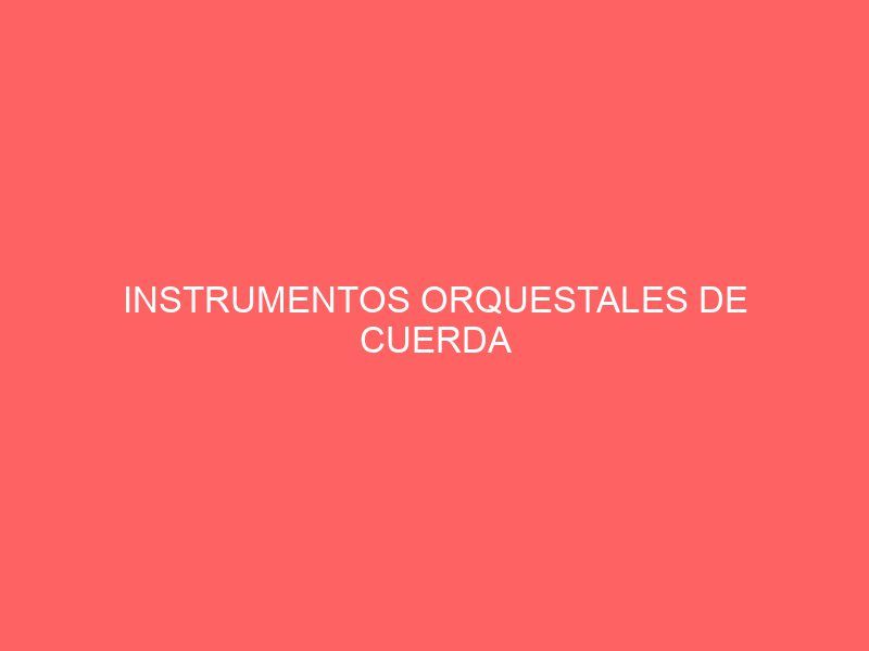 INSTRUMENTOS ORQUESTALES DE CUERDA