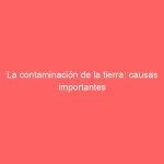 La contaminación de la tierra: causas importantes