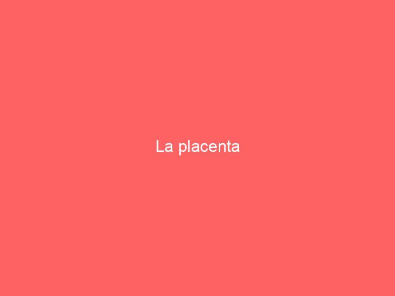 La placenta