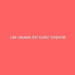 Las causas del sudor corporal