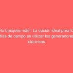 ¡No busques más!: La opción ideal para los días de campo es utilizar los generadores eléctricos
