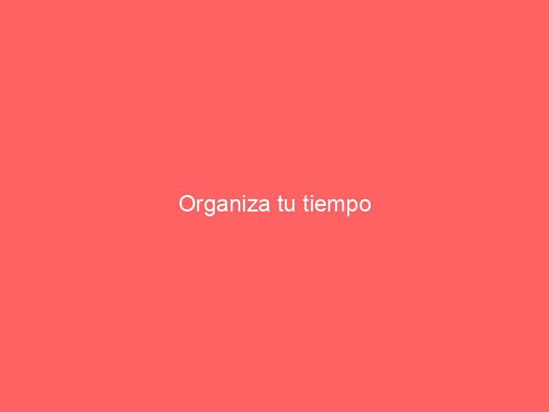 Organiza tu tiempo