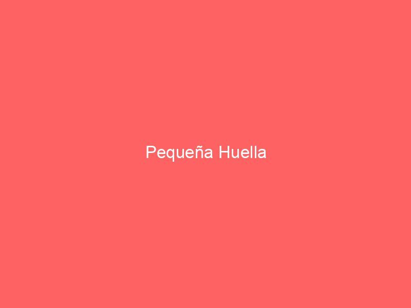 Pequeña Huella