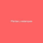 Plantas y estanques