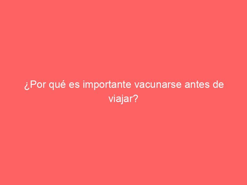 ¿Por qué es importante vacunarse antes de viajar?