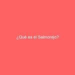 ¿Qué es el Salmorejo?