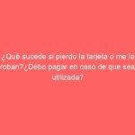 ¿Qué sucede si pierdo la tarjeta o me la roban?¿Debo pagar en caso de que sea utilizada?