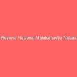 Reserva Nacional Malalcahuello-Nalcas