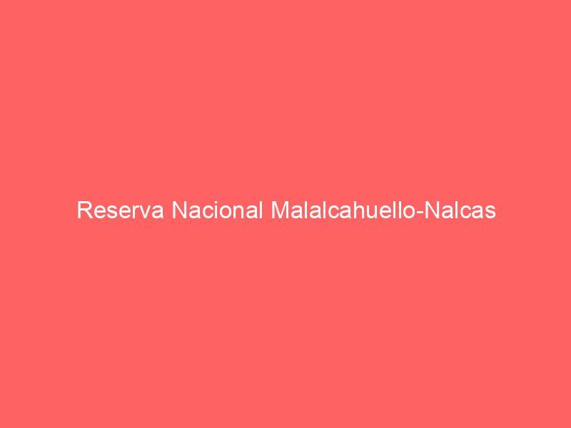 Reserva Nacional Malalcahuello-Nalcas