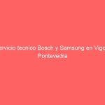 Servicio tecnico Bosch y Samsung en Vigo y Pontevedra