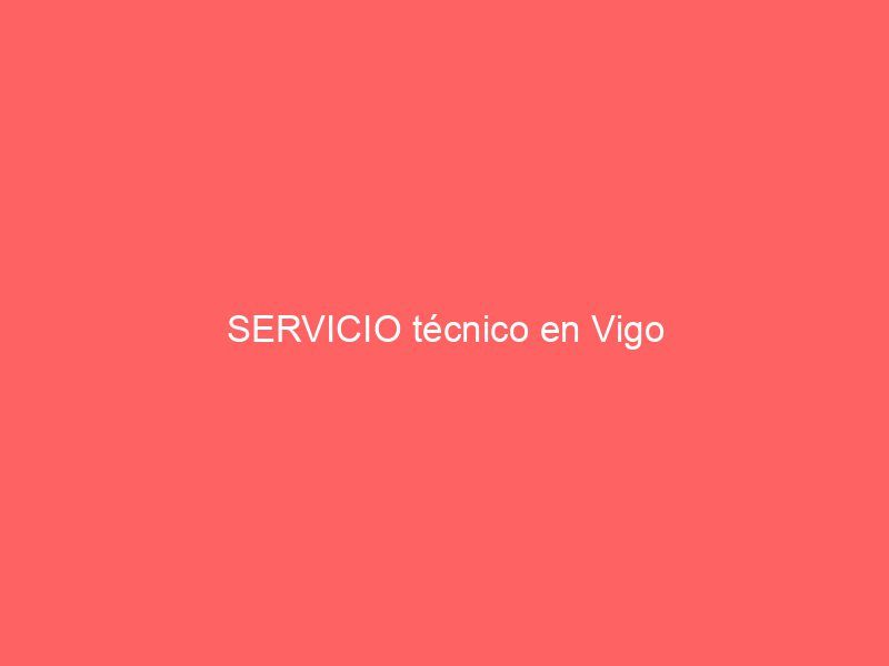 SERVICIO técnico en Vigo