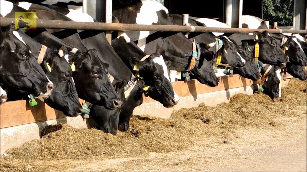 Guía definitiva para incrementar las ventas en empresas de Asesorías Agroalimentarias: Estrategias probadas para alcanzar el éxito