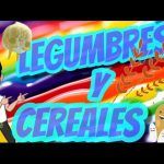 10 Estrategias Infalibles para Vender Más en Empresas de Cereales y Legumbres