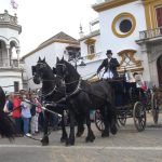 5 Estrategias Infalibles para Vender Más en Empresas de Coches de Caballos