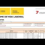 Guía Fácil: Descarga tu Informe de Vida Laboral con el Móvil en Pocos Pasos