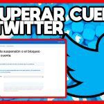 Guía Paso a Paso: Cómo Recuperar una Cuenta de Twitter Suspendida Efectivamente