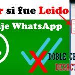 Descubre Cuándo Leyeron tus Mensajes: Guía para Saber la Hora en WhatsApp en Android y iOS