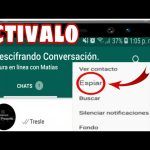 Cómo Descubrir con Quién Más Chateas en WhatsApp: Guía Paso a Paso