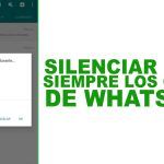 Guía Definitiva: Aprende Cómo Silenciar un Chat de WhatsApp Para Siempre