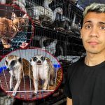 10 Estrategias Efectivas Para Vender Más Como Criador de Animales