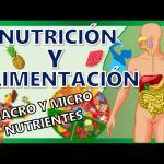 10 Estrategias Infalibles para Vender Más en Empresas de Dietética y Nutrición: ¡Aumenta tus Ventas!