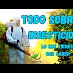 10 Estrategias Infalibles para Vender Más en Empresas de Insecticidas: ¡Impulsa tus Ventas!