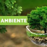 5 Estrategias Infalibles para Vender Más en Empresas de Medio Ambiente: ¡Aumenta tus Ventas Ahora!