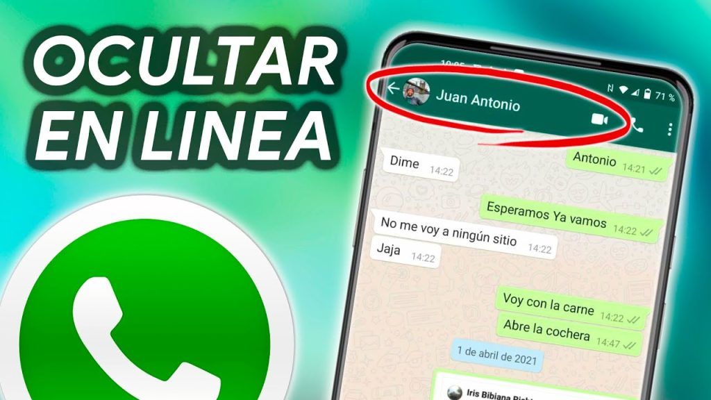 Guía Actualizada: Mejora la Privacidad en WhatsApp y Oculta tu Estado en Línea