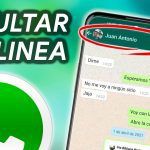 Guía Actualizada: Mejora la Privacidad en WhatsApp y Oculta tu Estado en Línea