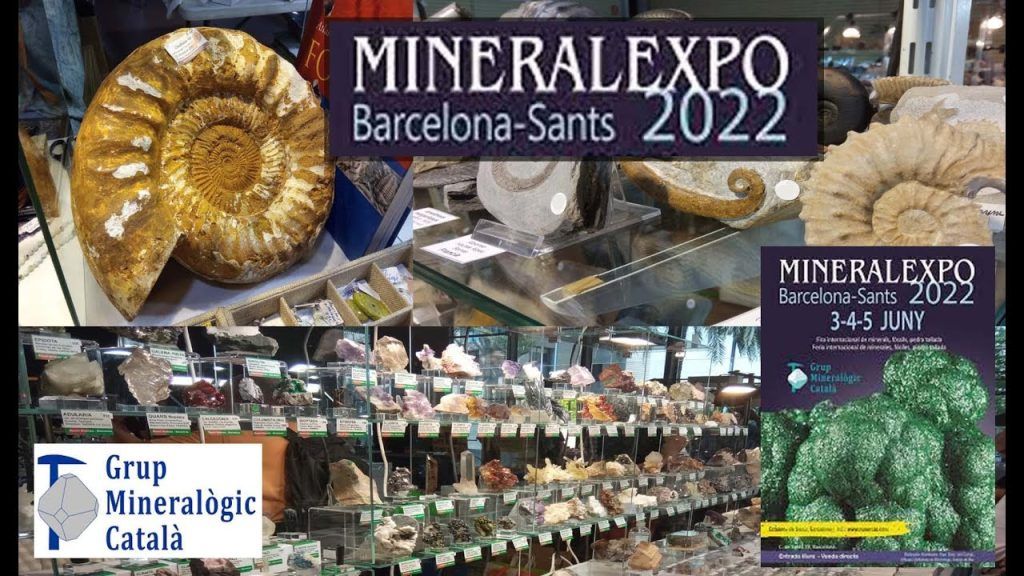 Descubre cómo aumentar las ventas en empresas de minerales y fósiles con estos consejos infalibles