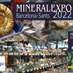 Descubre cómo aumentar las ventas en empresas de minerales y fósiles con estos consejos infalibles