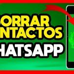 5 Razones Cruciales para Limpiar tus Contactos de WhatsApp: Descubre la Importancia de Eliminar Antiguos Conectados