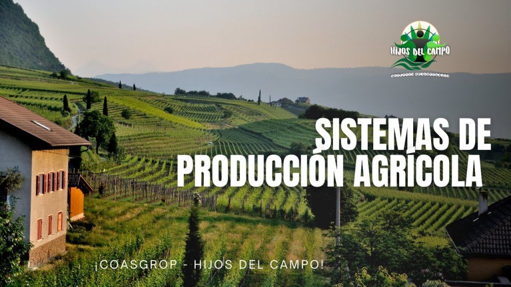 5 Estrategias Infalibles para Vender Más en Empresas de Producción Agrícola