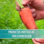 10 Estrategias Infalibles para Vender Más en Empresas de Productos Agrícolas: ¡Aumenta tus Ventas Ahora!