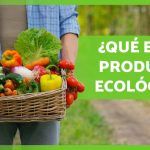 10 Estrategias Efectivas para Vender Más en Empresas de Productos Ecológicos: ¡Aumenta tus Ventas!