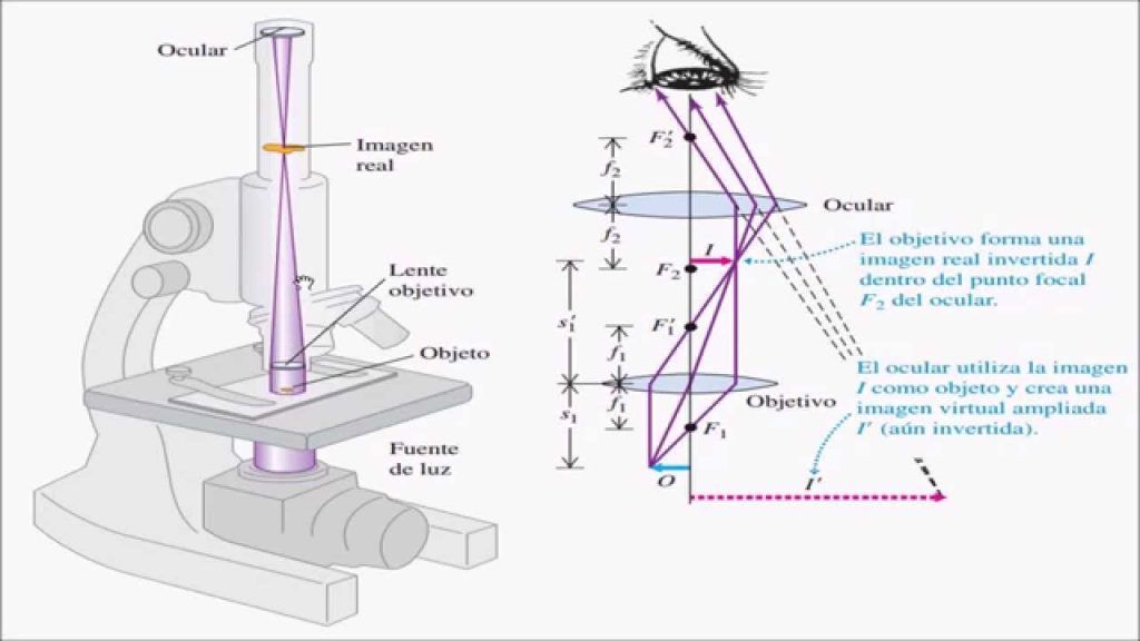 ¡Descubre cómo aumentar las ventas en empresas de telescopios y microscopios con estos consejos infalibles!