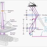 ¡Descubre cómo aumentar las ventas en empresas de telescopios y microscopios con estos consejos infalibles!