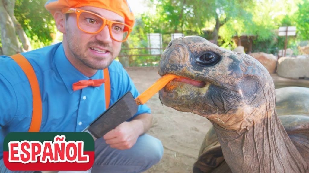 Visita al Zoológico: La Guía Definitiva para Observar y Aprender sobre Animales