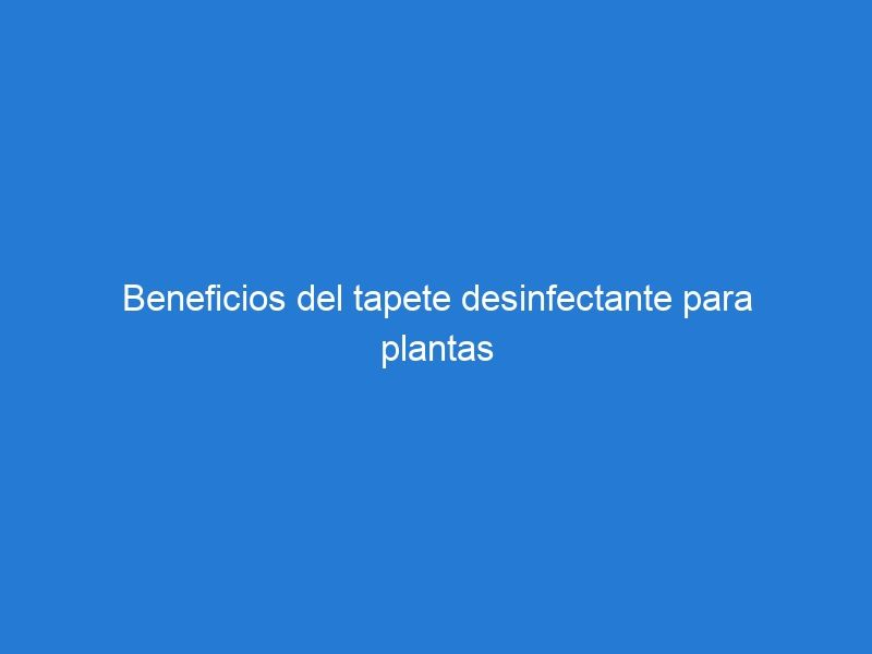 Beneficios del tapete desinfectante para plantas procesadoras de alimentos