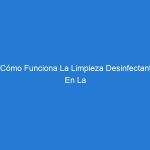 ¿Cómo Funciona La Limpieza Desinfectante En La Lucha Contra El Covid-19?